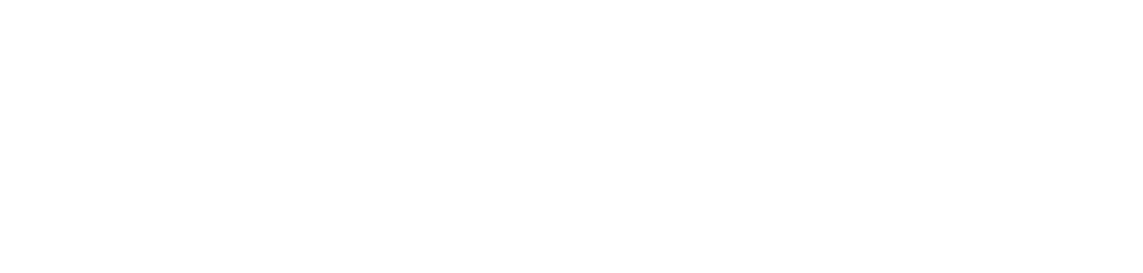 LIONS Learning