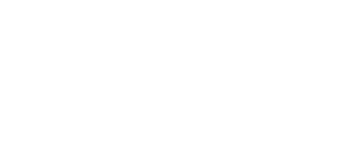 Ana Couto